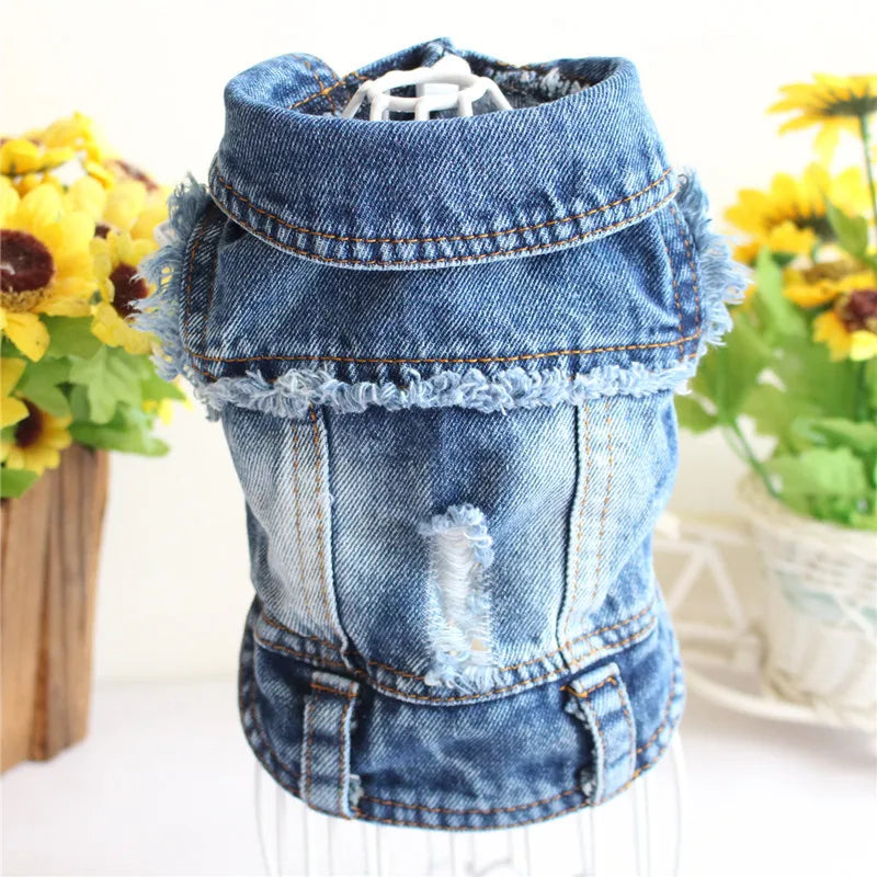 Denim Cat Clothes