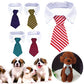 Formal Necktie Collar