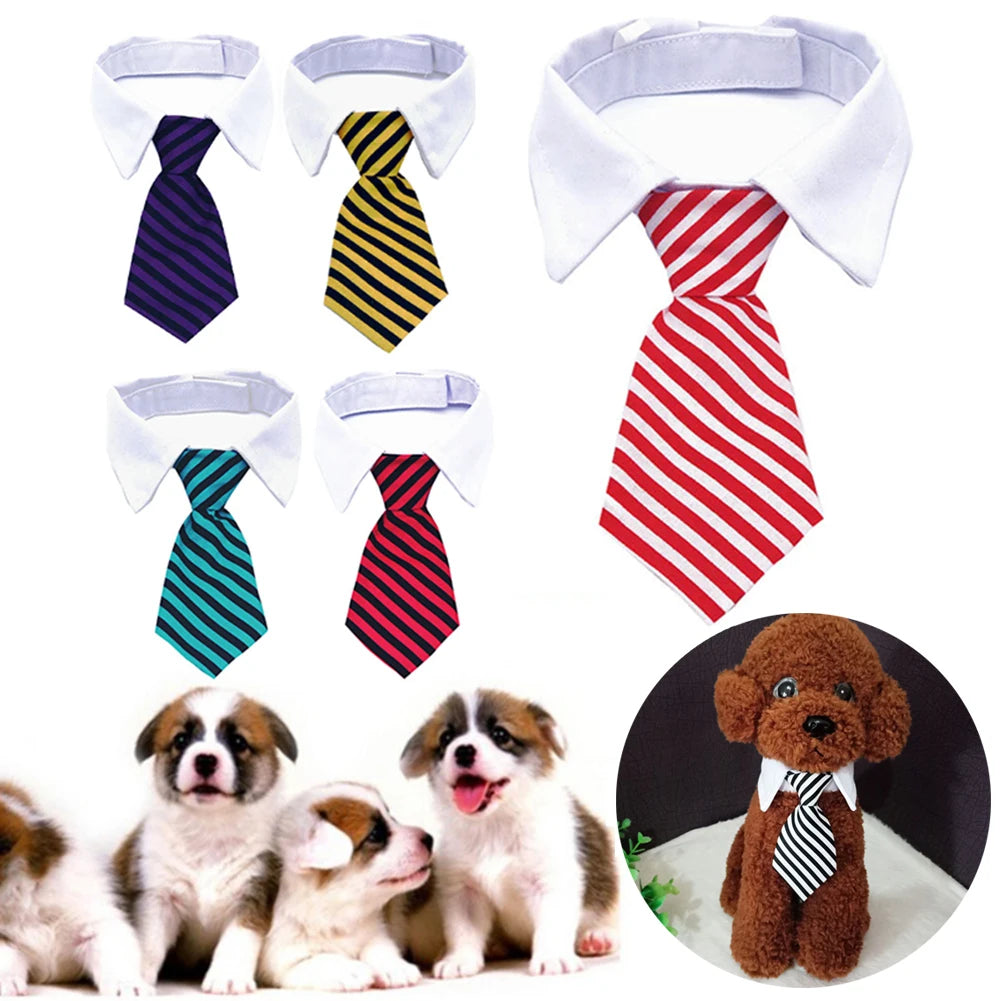 Formal Necktie Collar