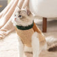 Cozy Winter Wear for Stylish Dogs