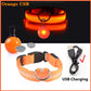 USB Charging Glowing Collar With Pendant