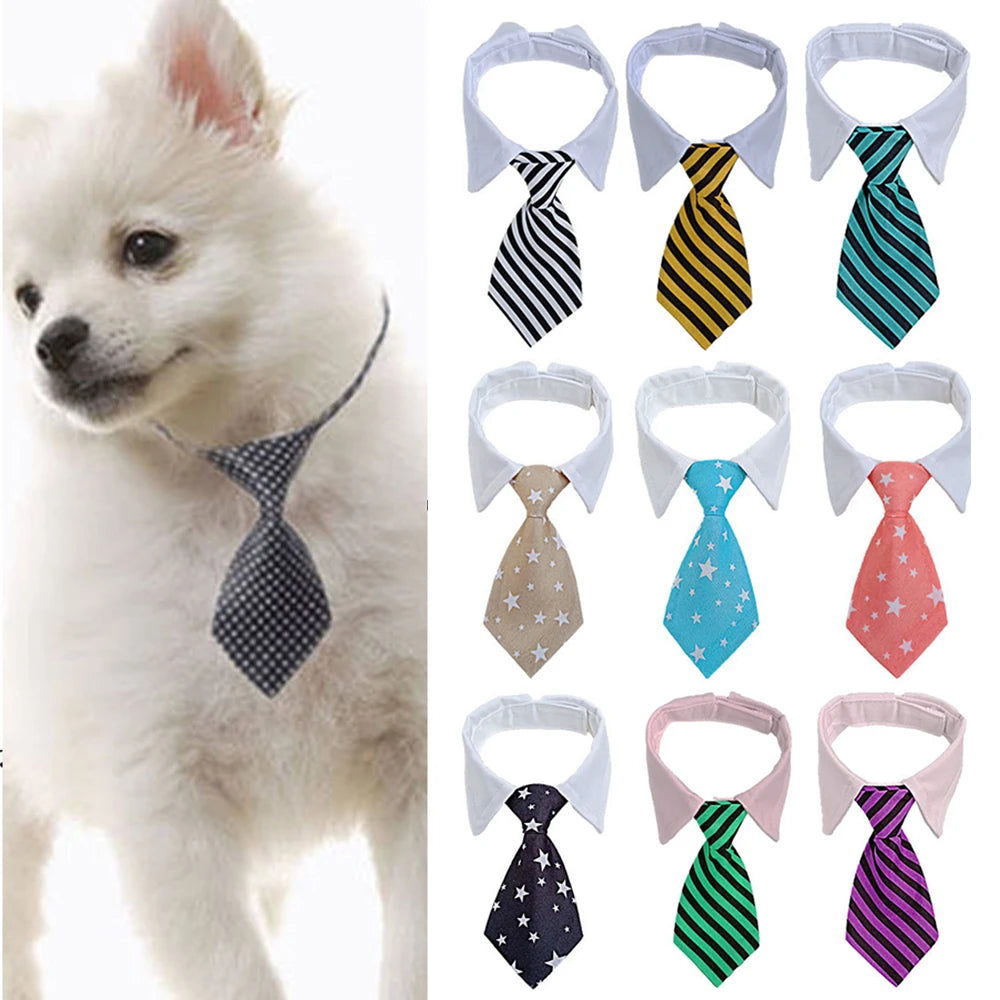 Formal Necktie Collar