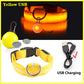 USB Charging Glowing Collar With Pendant