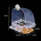 Automatic Bird Feeder