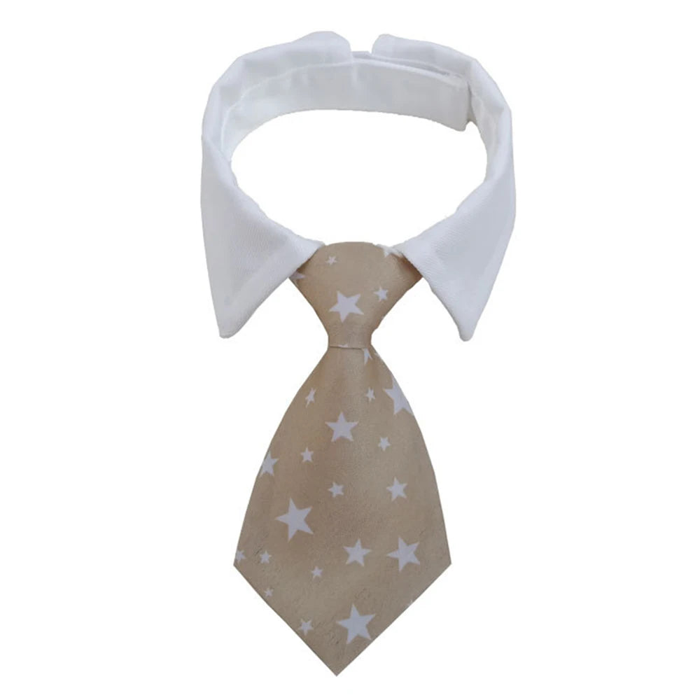 Formal Necktie Collar